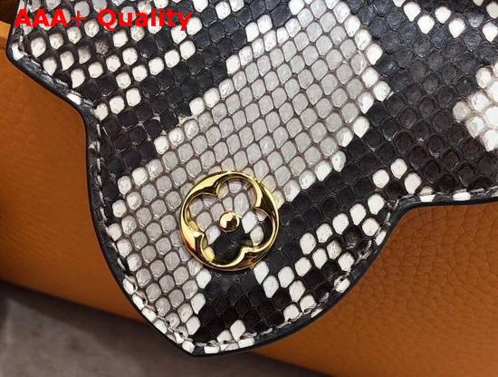 Louis Vuitton Capucines Mini Handbag Orange Taurillon Leather and Python Skin Details Replica