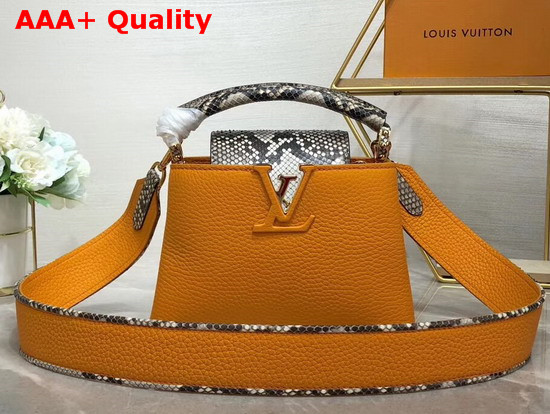 Louis Vuitton Capucines Mini Handbag Orange Taurillon Leather and Python Skin Details Replica