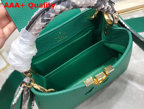 Louis Vuitton Capucines Mini Handbag Taurillon Leather and Python Skin Details Green Replica