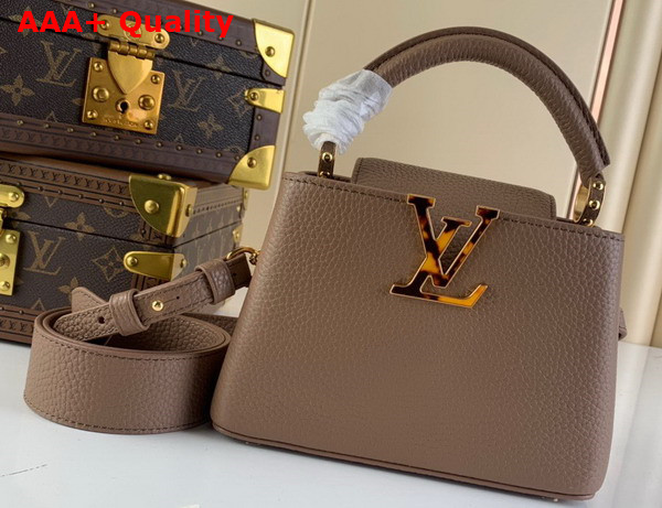 Louis Vuitton Capucines Mini Handbag in Smokey Brown Taurillon Leather with Leopard LV Replica