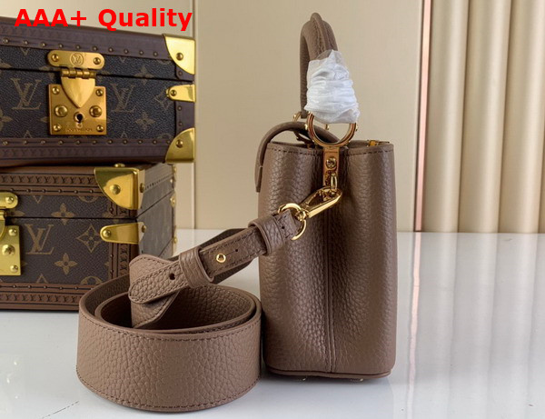 Louis Vuitton Capucines Mini Handbag in Smokey Brown Taurillon Leather with Leopard LV Replica