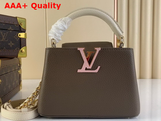 Louis Vuitton Capucines Mini Smokey Brown Green Creme Pink Taurillon Leather Replica