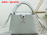 Louis Vuitton Capucines Mini White Crocodilian Brillant Leather Replica