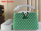 Louis Vuitton Capucines Mini White Green Taurillon Leather and Intricate Embroidery M59879 Replica