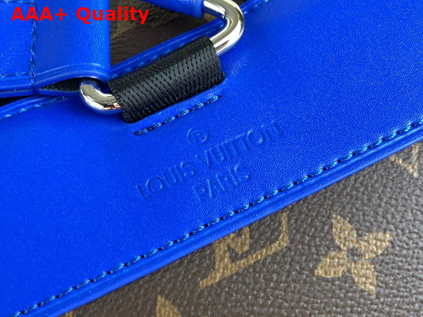 Louis Vuitton Christopher MM Backpack Blue Monogram Macassar Coated Canvas and Cowhide Leather M46813 Replica