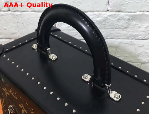 Louis Vuitton City Trunk PM Monogram M43118 Replica