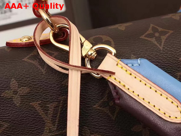 Louis Vuitton Cluny BB Monogram Replica