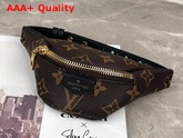 Louis Vuitton Coin Purse Bumbag Shape Monogram Canvas Replica