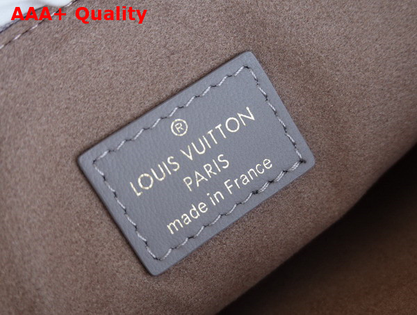 Louis Vuitton Coussin PM Handbag in Grey Monogram Embossed Puffy Lambskin M20842 Replica