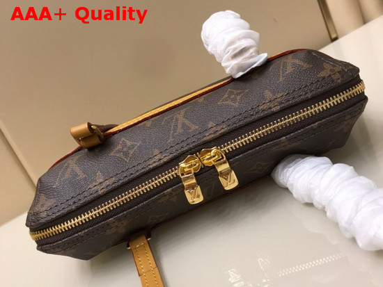 Louis Vuitton Coussin PM Shoulder Bag in Monogram Canvas Replica