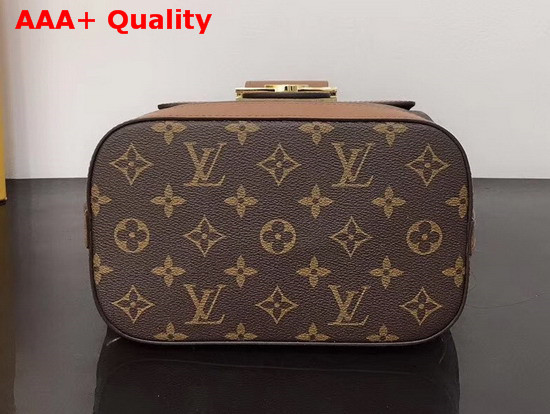 Louis Vuitton Dauphine Backpack Monogram Coated Canvas and Monogram Reverse Coated Canvas Replica