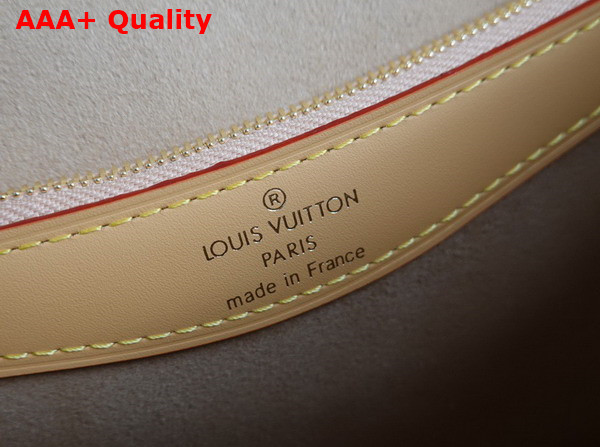 Louis Vuitton Diane Handbag in Monogram Coated Canvas and Shearling M46317 Replica