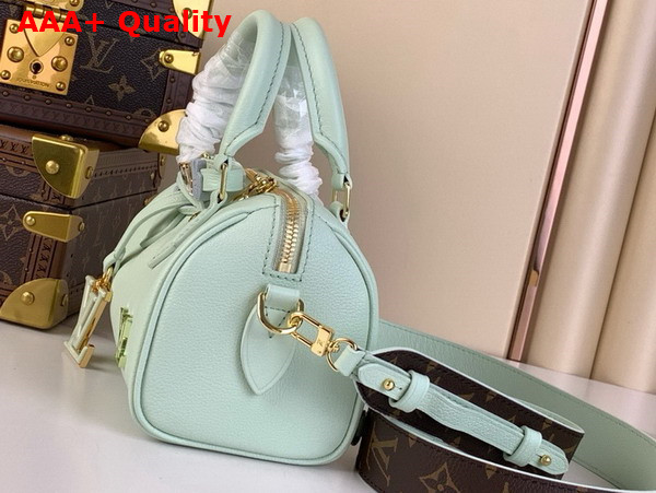 Louis Vuitton Diy Speedy 18 Bag in Matcha Calfskin Leather Replica