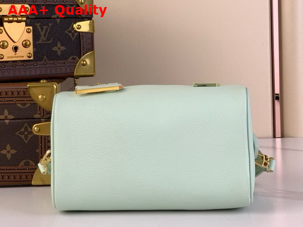 Louis Vuitton Diy Speedy 18 Bag in Matcha Calfskin Leather Replica