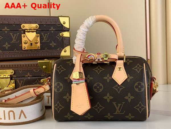 Louis Vuitton Diy Speedy 18 Bag in Monogram Canvas Replica