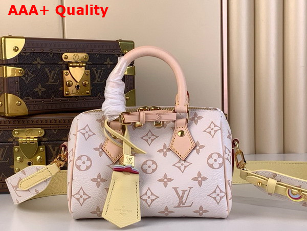 Louis Vuitton Diy Speedy 18 Bag in Monogram Dune Coated Canvas Replica