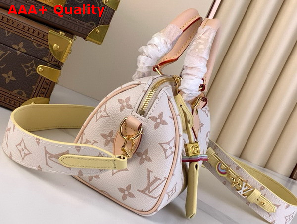 Louis Vuitton Diy Speedy 18 Bag in Monogram Dune Coated Canvas Replica