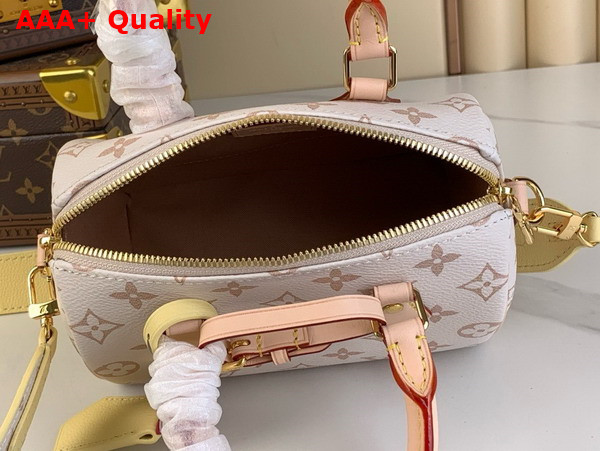 Louis Vuitton Diy Speedy 18 Bag in Monogram Dune Coated Canvas Replica