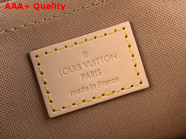 Louis Vuitton Diy Speedy 18 Bag in Monogram Dune Coated Canvas Replica