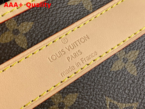 Louis Vuitton Dog Bag in Monogram Coated Canvas M45662 Replica