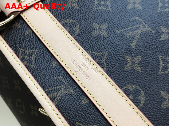 Louis Vuitton Dog Carrier 45 Monogram Canvas Replica