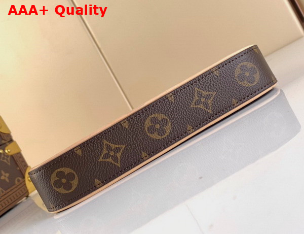 Louis Vuitton Eeasy Pouch On Strap Monogram Canvas Replica