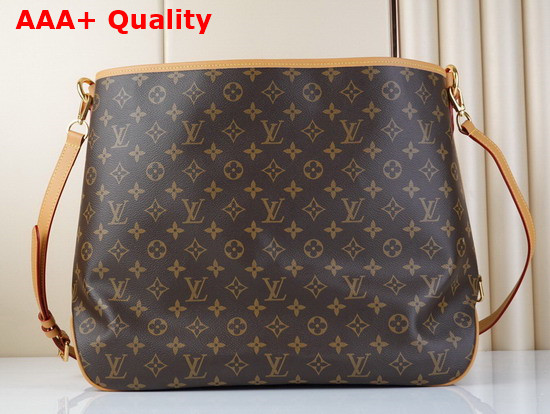 Louis Vuitton Graceful MM Hobo in Monogram Canvas Replica