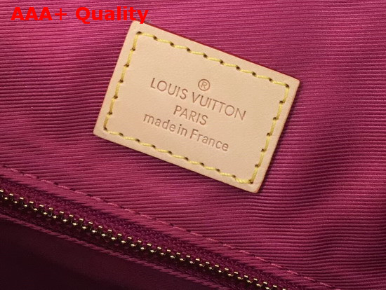 Louis Vuitton Graceful PM Hobo Monogram Coated Canvas Pivoine Lining M43700 Replica