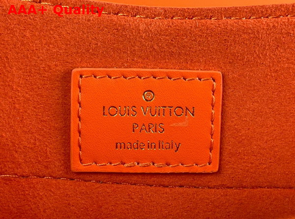 Louis Vuitton Hide and Seek Bag in Orange Minnesota Epi Grained Cowhide Leather M22723 Replica