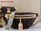 Louis Vuitton High Rise Bumbag in Monogram Coated Canvas M46784 Replica