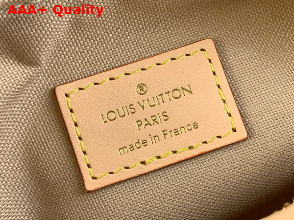 Louis Vuitton Hills Pochette in Mastic Polyamide M12433 Replica