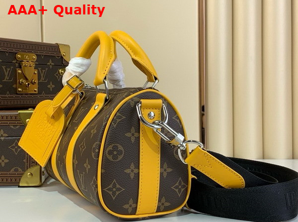 Louis Vuitton Keepall Bandouliere 25 Safran Yellow Monogram Macassar Coated Canvas and Cowhide Leather M12733 Replica