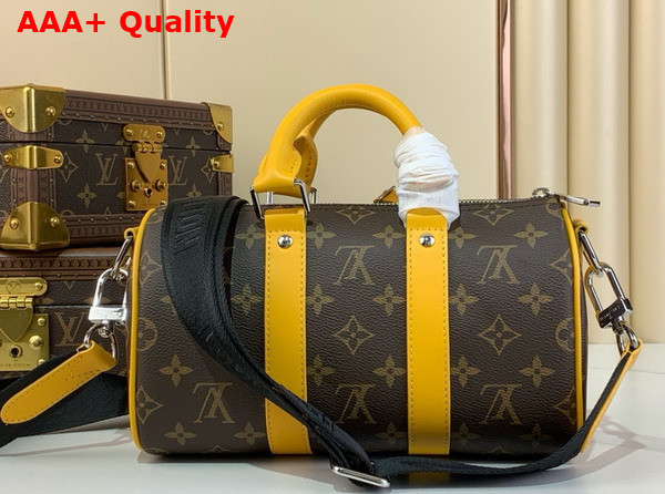 Louis Vuitton Keepall Bandouliere 25 Safran Yellow Monogram Macassar Coated Canvas and Cowhide Leather M12733 Replica