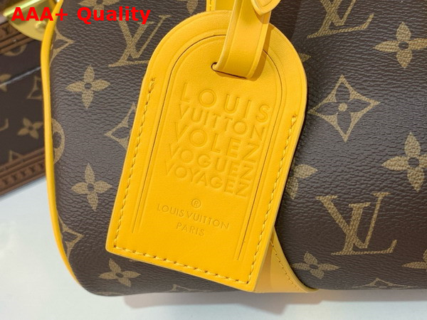 Louis Vuitton Keepall Bandouliere 25 Safran Yellow Monogram Macassar Coated Canvas and Cowhide Leather M12733 Replica