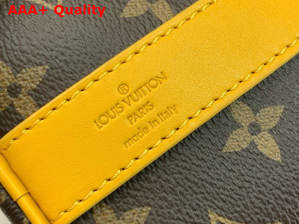 Louis Vuitton Keepall Bandouliere 25 Safran Yellow Monogram Macassar Coated Canvas and Cowhide Leather M12733 Replica