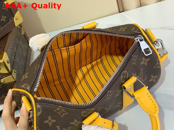 Louis Vuitton Keepall Bandouliere 25 Safran Yellow Monogram Macassar Coated Canvas and Cowhide Leather M12733 Replica