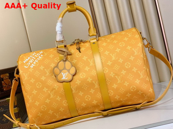 Louis Vuitton Keepall Bandouliere 45 Yellow Monogram Heritage Coated Canvas M12880 Replica