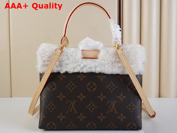 Louis Vuitton Locky BB Bag Monogram Coated Canvas and Shearling M46318 Replica