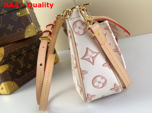 Louis Vuitton Maxi Multi Pochette Accessoires Beige Clair Monogram Coated Canvas M20920 Replica