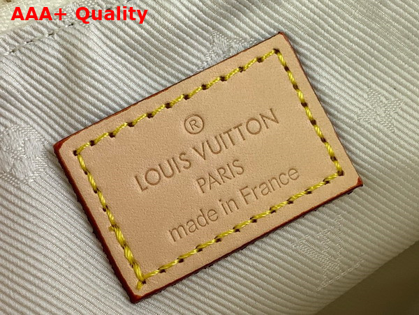 Louis Vuitton Mini Pochette Accessoires Multicolor White Monogram Jacquard Fabric Replica