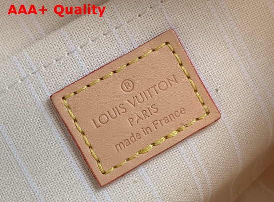 Louis Vuitton Multi Pochette Accessoires Brume Monogram Giant Coated Canvas M57634 Replica