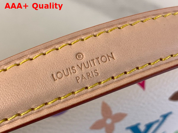 Louis Vuitton Nano Diane Multicolor Monogram Canvas Replica