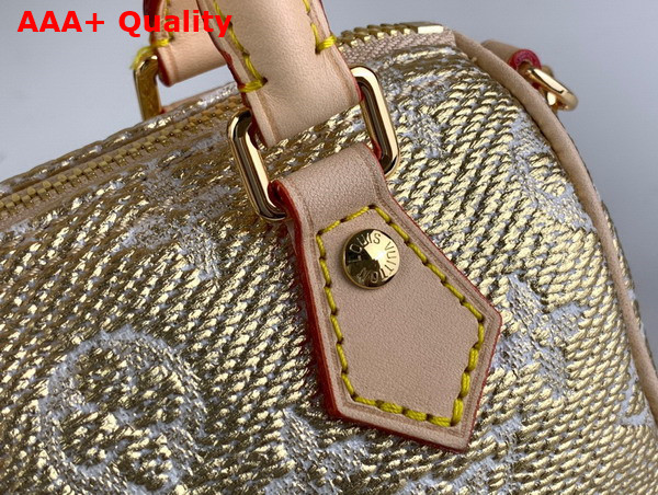 Louis Vuitton Nano Speedy Bag in Beige Monoglam Coated Canvas M82242 Replica