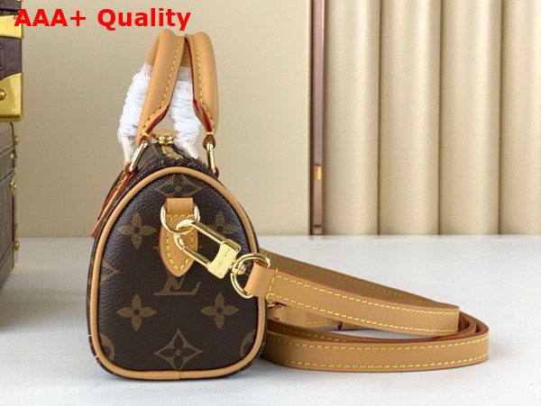 Louis Vuitton Nano Speedy Bag in Monogram Canvas with Printed Vivienne Motif Replica