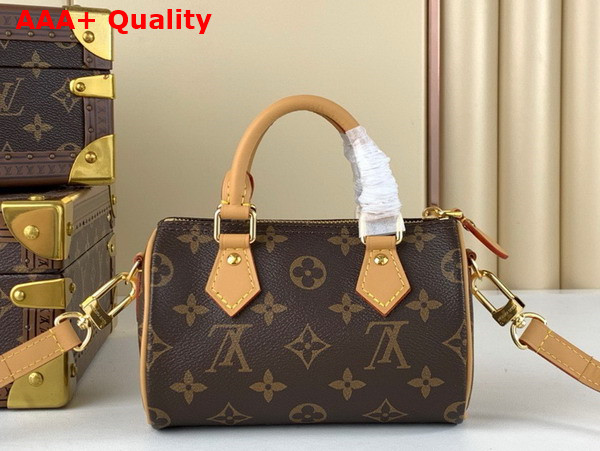 Louis Vuitton Nano Speedy Bag in Monogram Canvas with Printed Vivienne Motif Replica