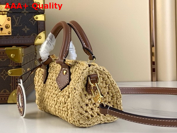 Louis Vuitton Nano Speedy Bag in Natural Raffia M83525 Replica