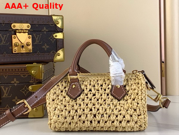 Louis Vuitton Nano Speedy Bag in Natural Raffia M83525 Replica