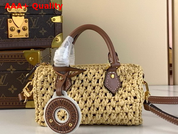 Louis Vuitton Nano Speedy Bag in Natural Raffia M83525 Replica