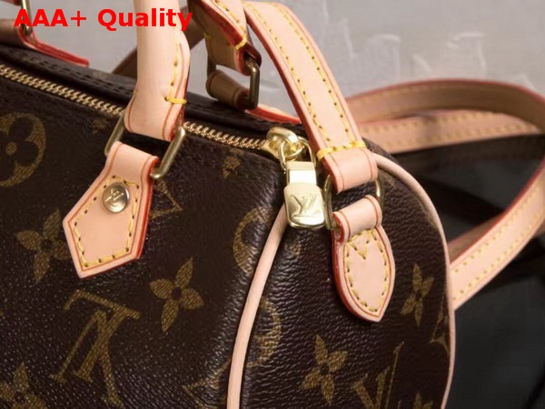 Louis Vuitton Nano Speedy Monogram M61252 Replica