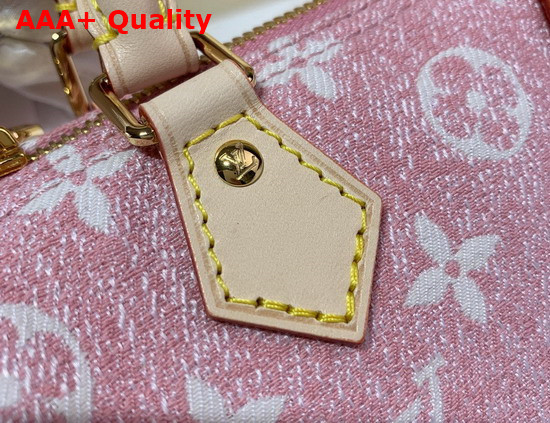 Louis Vuitton Nano Speedy in Pink Monogram Jacquard Denim M81213 Replica